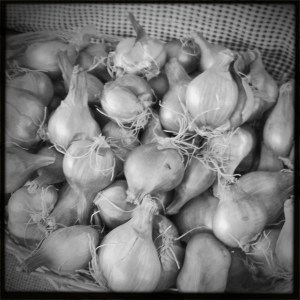 Shhh...shallots