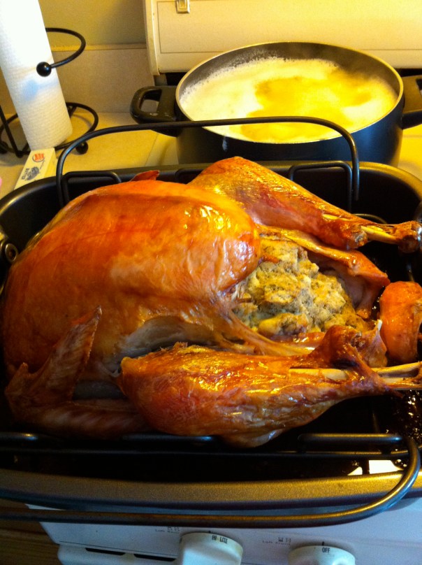 Happy Birthday Turkey