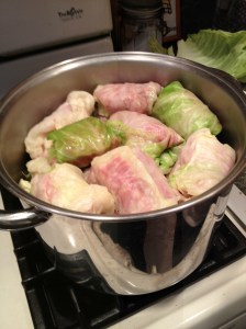 Our little friends ready to go!